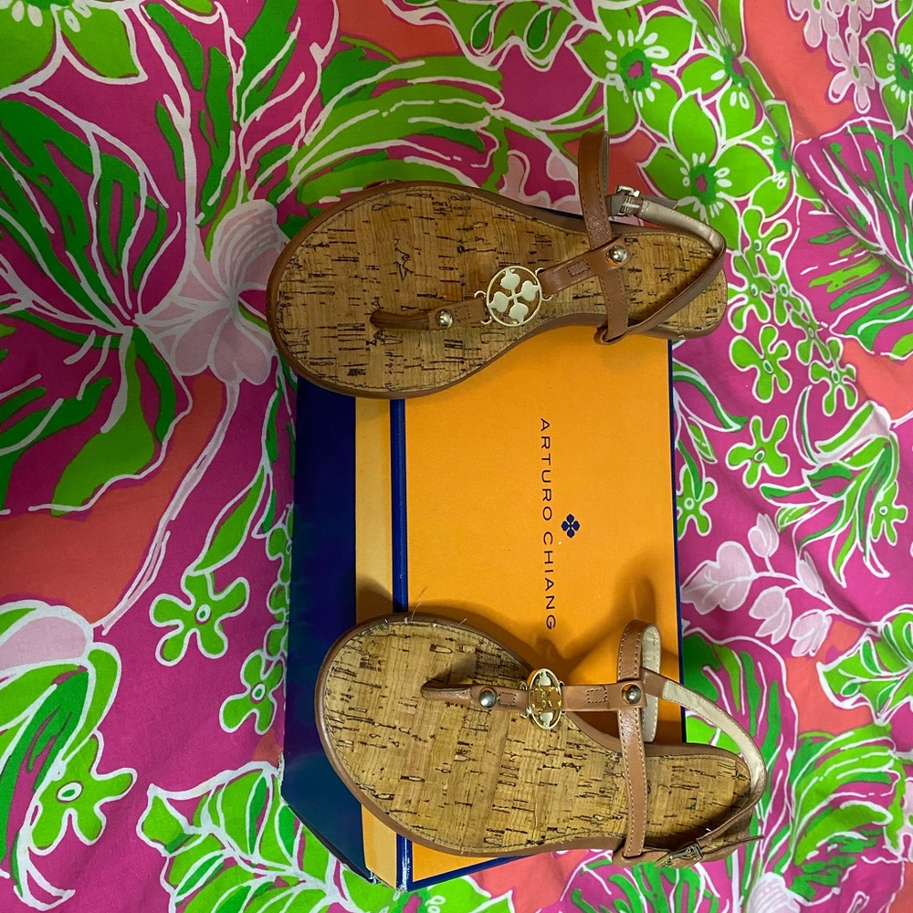 Arturo Chiang shoes